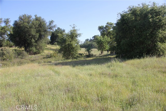 74650 Interlake Road, Bradley CA: https://media.crmls.org/medias/81b9dbba-723c-4452-8774-a98d730c8887.jpg