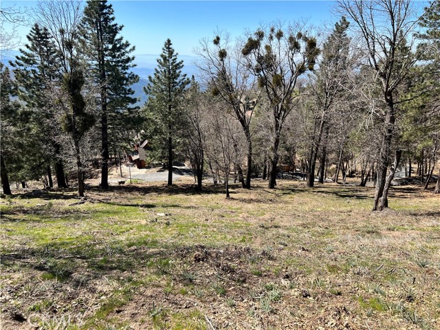 41 Fredalba Road, Running Springs, CA, 92382 41 Fredalba Road, Running Springs, CA, 92382