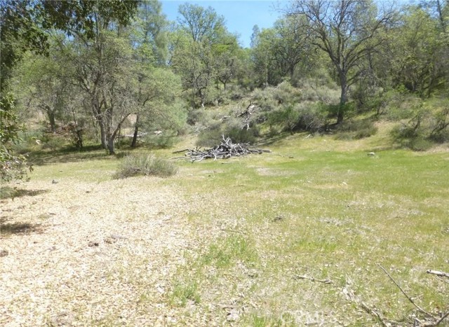 0 0 Vineyard Canyon Parcel 29, San Miguel, California 93451, ,Land,For Sale,0 0 Vineyard Canyon Parcel 29,CRNS23160263