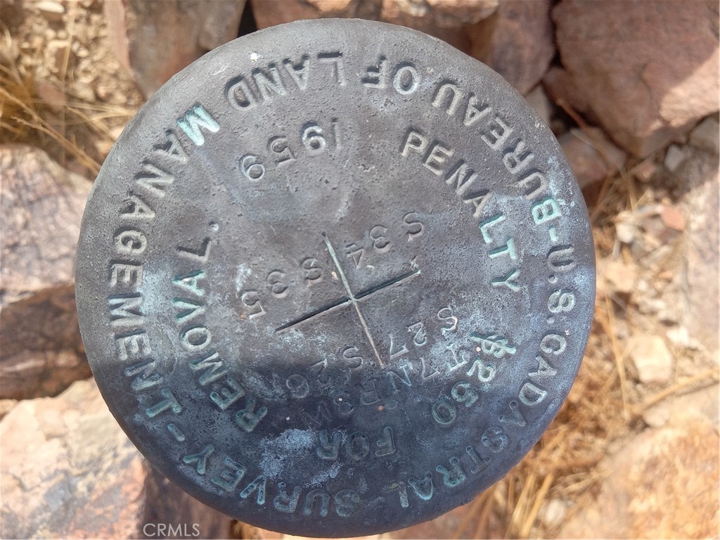 MLS #DW25020276 image #5