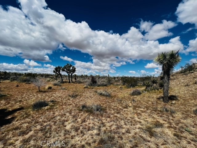 Detail Gallery Image 8 of 16 For 57864 Sunflower Dr, Yucca Valley,  CA 92284 - – Beds | – Baths