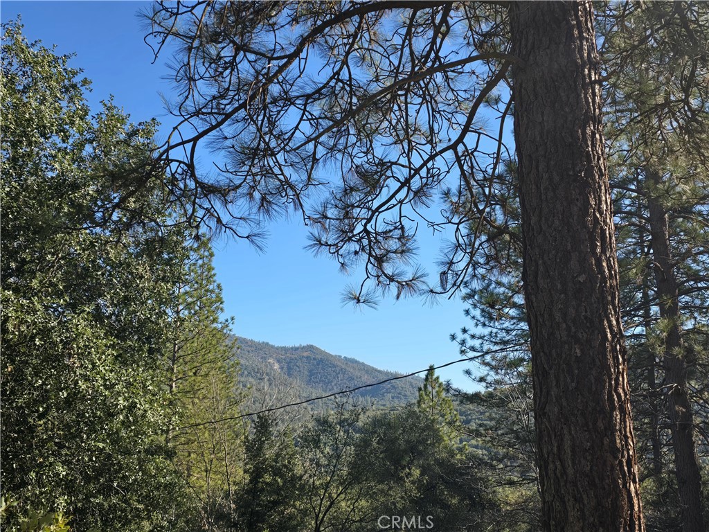 https://media.crmls.org/medias/81cd4cce-0448-4809-840b-9015ca28e099.jpg?preset=X-Large