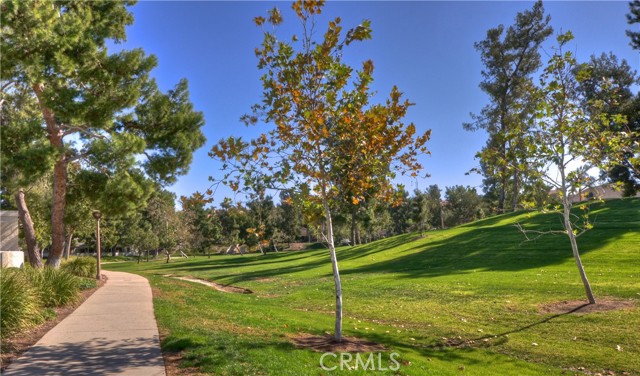 28142 Carpenteria Court, Laguna Niguel CA: https://media.crmls.org/medias/81ce089a-74fc-4eea-bf9c-ee18e74a660e.jpg