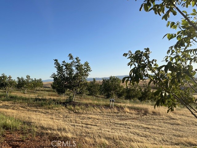 Detail Gallery Image 11 of 27 For 0 Butte Mountain Rd, Corning,  CA 96021 - – Beds | – Baths