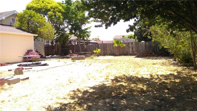 back yard