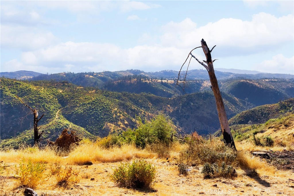 MLS #SN25248006 image #17