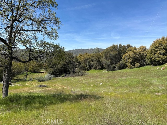Detail Gallery Image 1 of 7 For 0 Hwy 49n, Mariposa,  CA 95338 - – Beds | – Baths