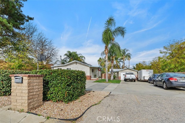 Front Image Thumbnail for CROC25279853