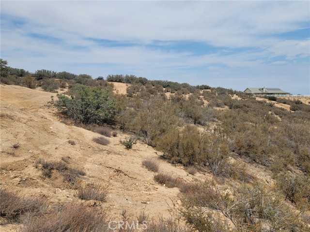 Detail Gallery Image 7 of 15 For 0 Daisy Road, Oak Hills,  CA 92344 - – Beds | – Baths