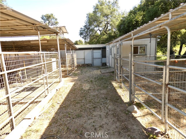 20361 Adkinson Lane, Trabuco Canyon CA: https://media.crmls.org/medias/81e9b7b0-74af-42ae-867d-f4da360a0df3.jpg