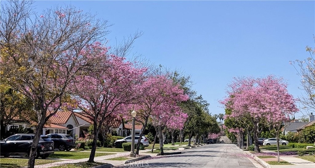 https://media.crmls.org/medias/81ec3e3e-214d-4823-8669-befec4929959.jpg?preset=X-Large