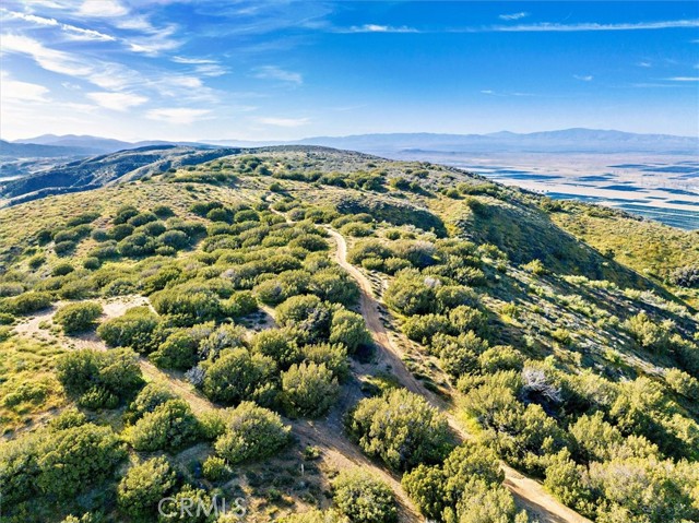 Detail Gallery Image 29 of 30 For 48725 Shallow Springs Road, Leona Valley,  CA 93551 - – Beds | – Baths