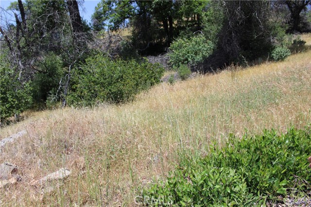 Detail Gallery Image 25 of 45 For 10255 Carrousel Dr, Redding,  CA 96001 - – Beds | – Baths