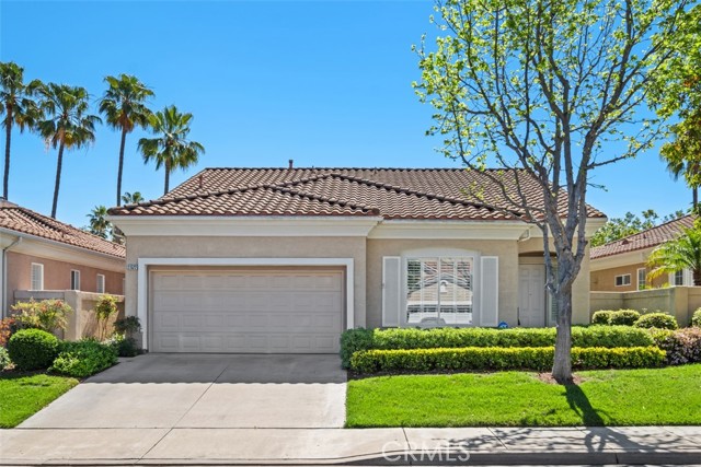 Front Image Thumbnail for CROC26055290