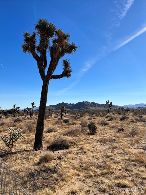 Detail Gallery Image 12 of 23 For 59347 Aberdeen Dr, Yucca Valley,  CA 92284 - – Beds | – Baths