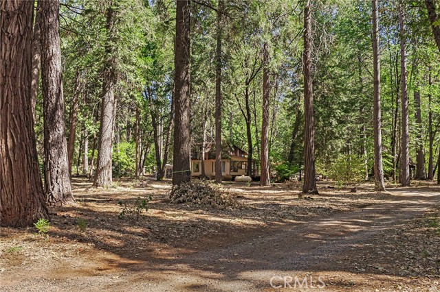 Detail Gallery Image 16 of 16 For 15220 Skyway, Magalia,  CA 95954 - 3 Beds | 1/1 Baths