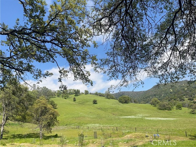29503 Spence Lane, Tollhouse CA: https://media.crmls.org/medias/8200ac43-b90d-49fc-ac2b-d87ff03c68f1.jpg