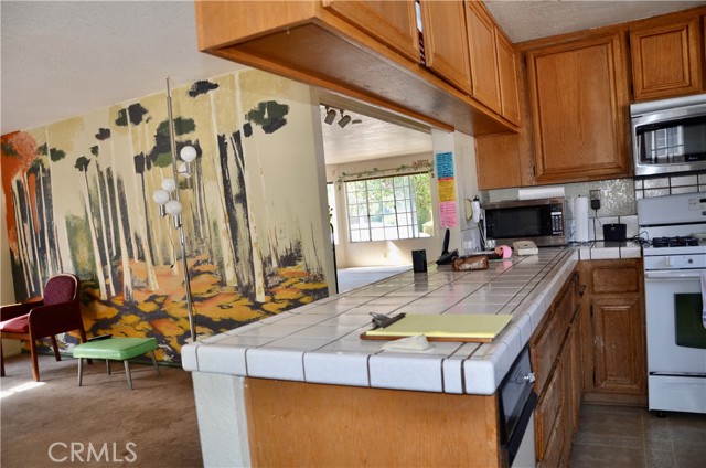 spacious kitchen  with lots of cabinet space, open to family room and private patio