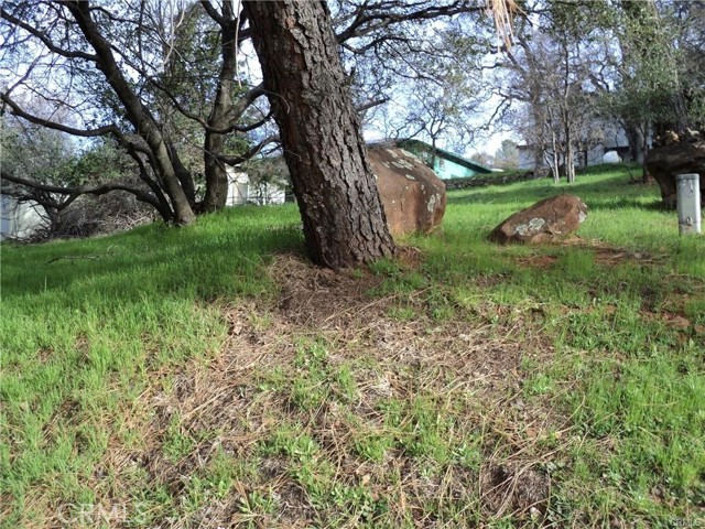 0 Silver Leaf Drive, Oroville, CA, 95966 0 Silver Leaf Drive, Oroville, CA, 95966