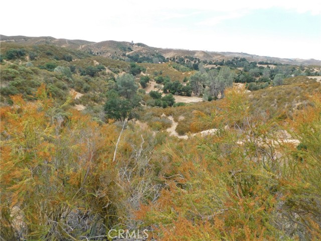 9890 Huer Huero Road, Creston, California 93432, ,Land,For Sale,9890 Huer Huero Road,CRNS23140865