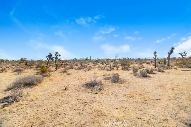 Detail Gallery Image 2 of 12 For 0 La Habra, Joshua Tree,  CA 92252 - – Beds | – Baths