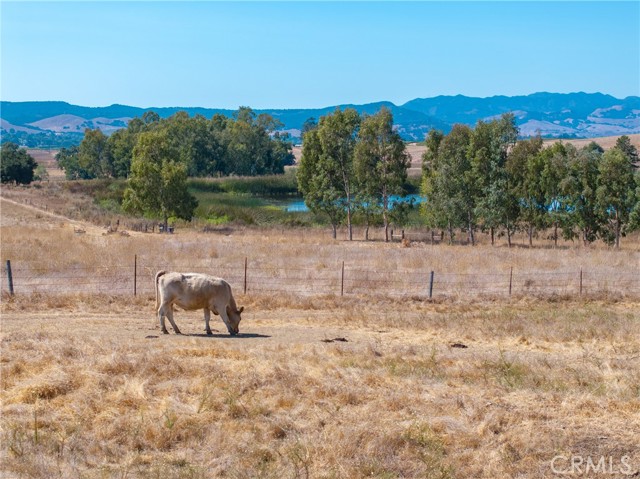 Detail Gallery Image 16 of 28 For 5385 Righetti Rd, San Luis Obispo,  CA 93401 - – Beds | – Baths