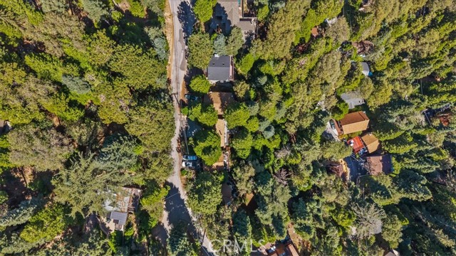 613 E Victoria Court, Lake Arrowhead, CA 92352