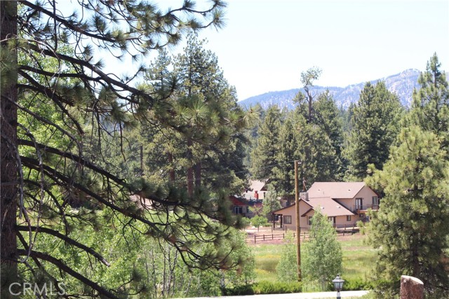 39933 Deer, Big Bear Lake, CA 92315