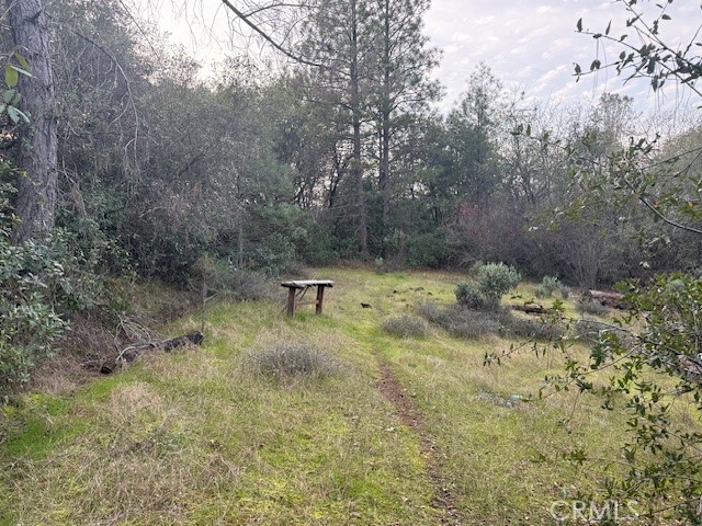 Detail Gallery Image 5 of 20 For 0 Rex Lane, Oroville,  CA 95966 - – Beds | – Baths