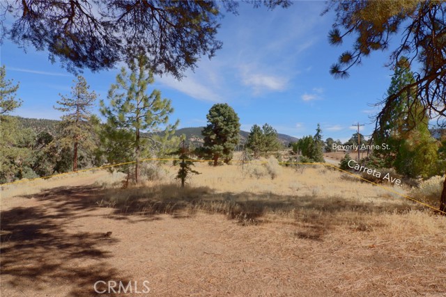 0 Carreta, Frazier Park CA: https://media.crmls.org/medias/8218baaf-3c39-4cc4-8145-5978ae14afd1.jpg