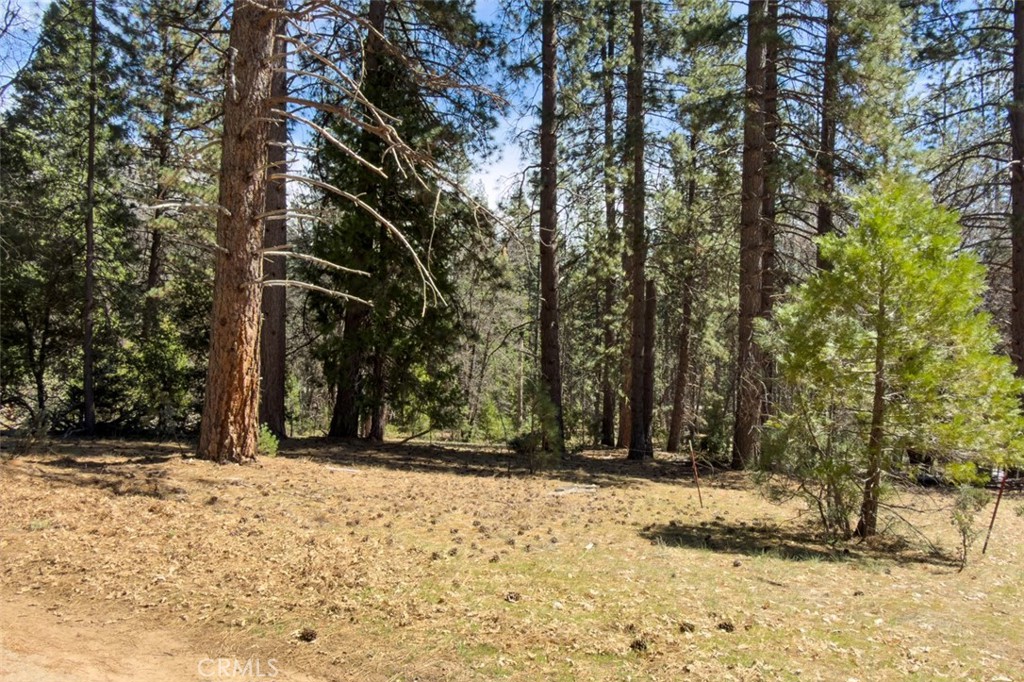 https://media.crmls.org/medias/8219c659-54a1-4636-847d-3935f711d147.jpg?preset=X-Large