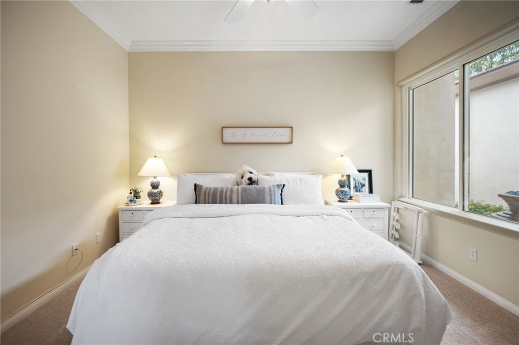 MLS #NP25246949 image #29
