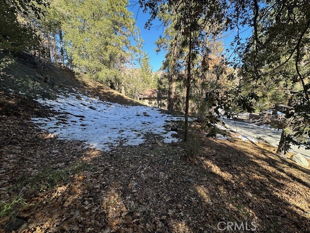 Detail Gallery Image 8 of 11 For 0 Flume Canyon, Wrightwood,  CA 92397 - – Beds | – Baths