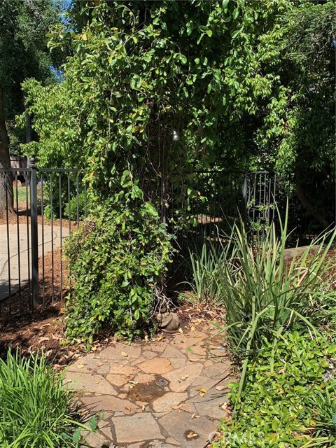 Lushly landscaped Backyard