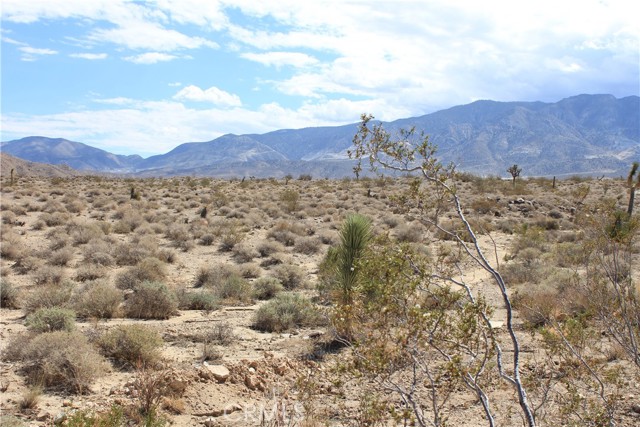 769 Meridian Road, Lucerne Valley CA: https://media.crmls.org/medias/822e379a-6659-46be-8544-f7fb41020d38.jpg