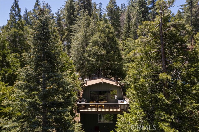 Detail Gallery Image 25 of 25 For 26486 Forest Ln, Twin Peaks,  CA 92391 - 2 Beds | 1/1 Baths