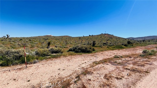 Detail Gallery Image 6 of 15 For 10177 Cerra Vista St, Apple Valley,  CA 92308 - – Beds | – Baths