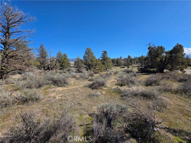 Detail Gallery Image 6 of 21 For 3 Blk 67 Lot 3 Martin Dr., Montague,  CA 96064 - – Beds | – Baths