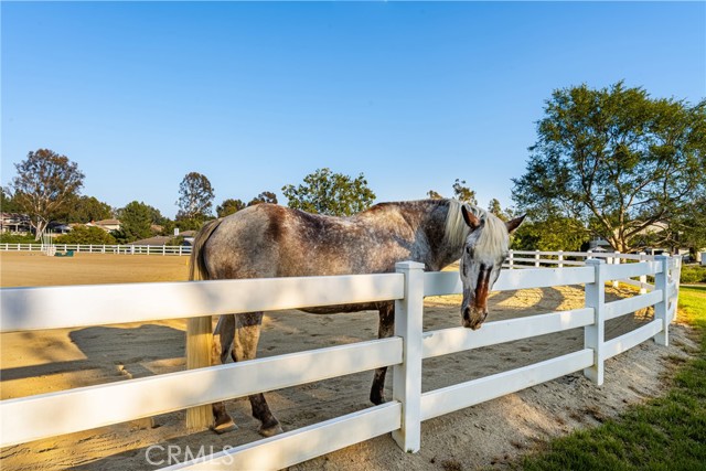 8009 E Eucalyptus Trail, Orange CA: https://media.crmls.org/medias/824912dc-5432-450a-8bb8-745a7621bf95.jpg