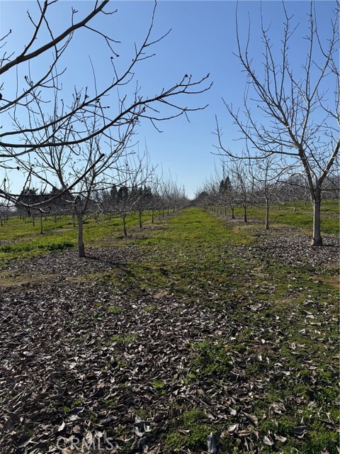 Detail Gallery Image 9 of 18 For 0 Mcfadden Ln, Chico,  CA 95928 - – Beds | – Baths