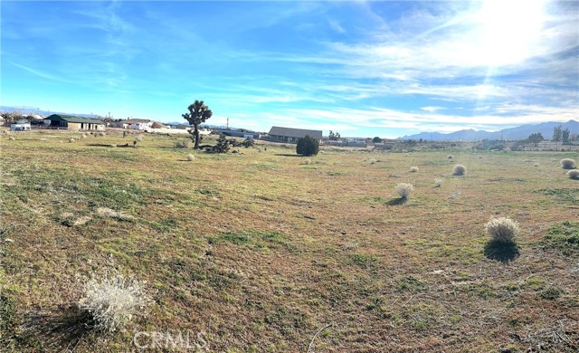 Front Image Thumbnail for CRCV26023083