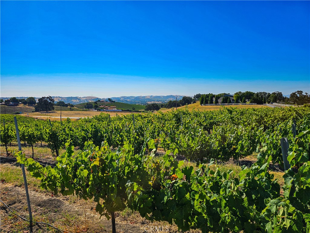 2023 Twelve Oaks Drive