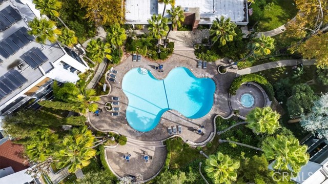 Resort style pool and spa