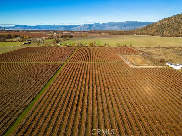 Detail Gallery Image 19 of 26 For 4150 Gaddy Ln, Kelseyville,  CA 95451 - – Beds | – Baths