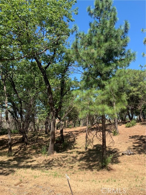 4896 Malibu Drive, Paradise, California 95969, ,Land,For Sale,4896 Malibu Drive,CRSN22148840