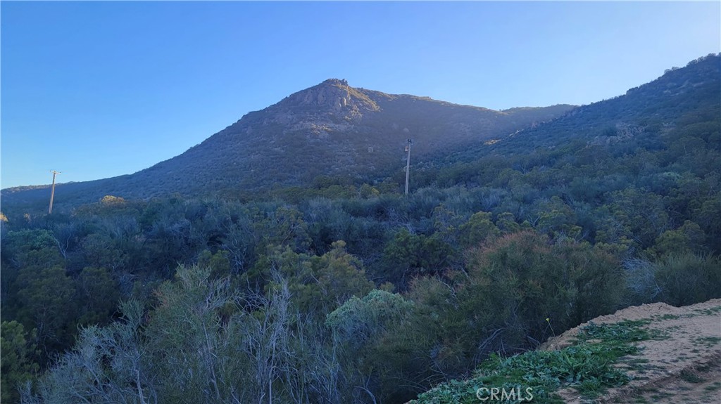 55630 Rock Canyon Road
