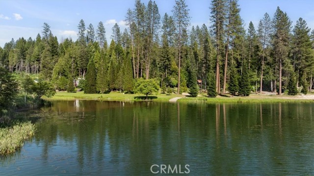 Detail Gallery Image 52 of 69 For 9 Apple Hill Cir, Berry Creek,  CA 95916 - 3 Beds | 2 Baths