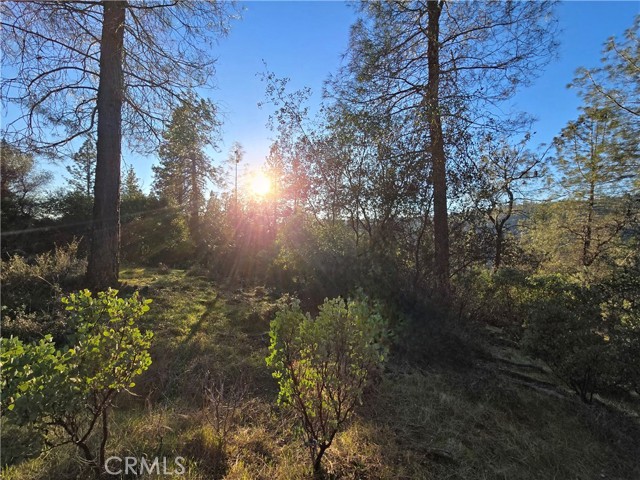 Detail Gallery Image 31 of 34 For 0 Double Eagle Way, Brownsville,  CA 95919 - – Beds | – Baths