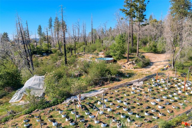 Detail Gallery Image 14 of 20 For 0 Four M Ct, Berry Creek,  CA 95916 - – Beds | – Baths