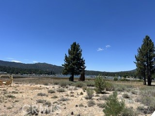 689 Daisy, Big Bear Lake, CA 92315